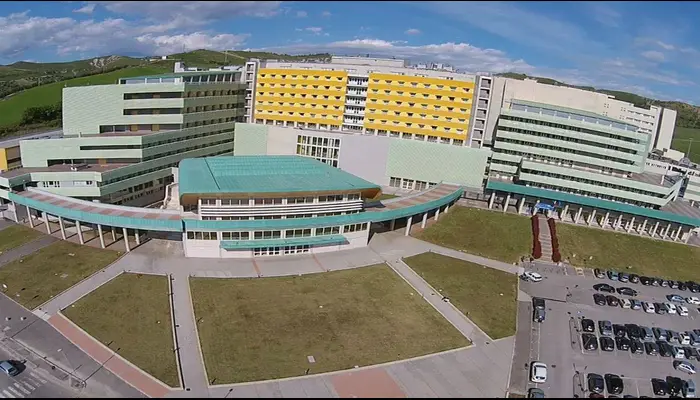 Magna Græcia University