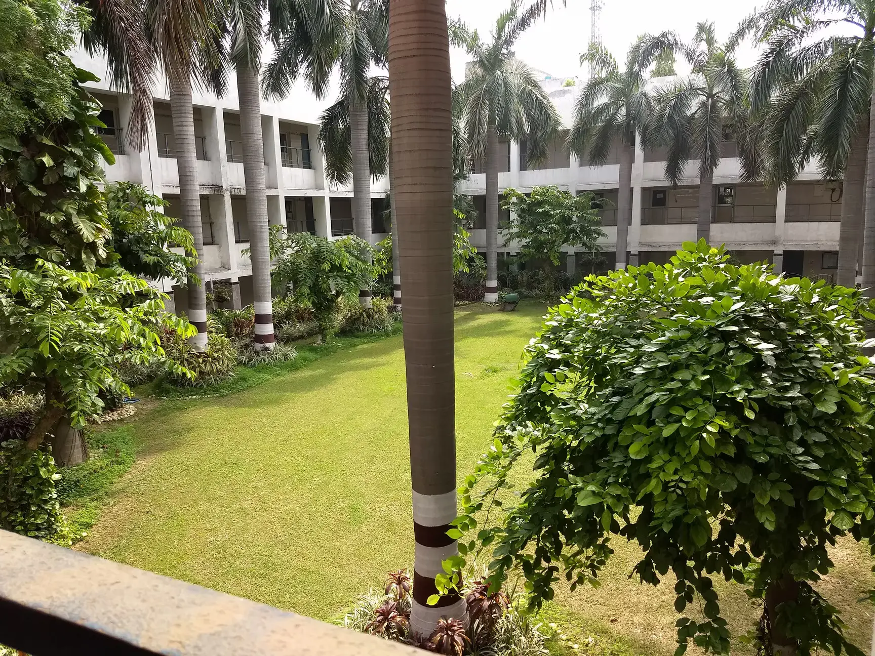 college slider 4